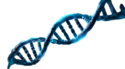 Captivating 3D representation of a glowing blue DNA helix structure, symbolizing genetics, science, and innovation. Isolated to Transparent Background