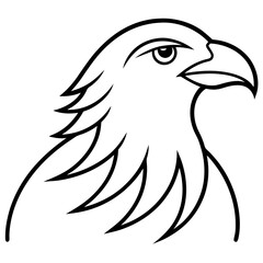 Fototapeta premium eagle head vector