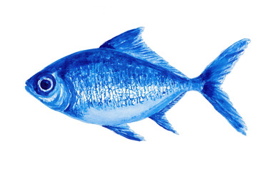 Obraz premium Drawing of a fish in blue color, a children's drawing, png, transparent