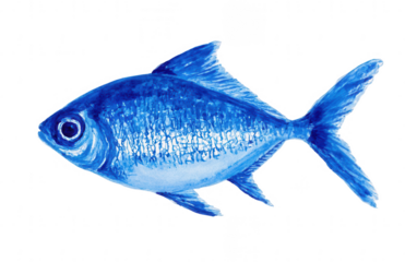 Drawing of a fish in blue color, a children's drawing, png, transparent