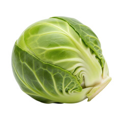 Fresh green brussels sprout isolated on transparent background