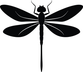 Elegant dragonfly silhouette on white background