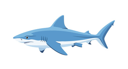 Obraz premium Blue shark illustration ocean predator sea animal