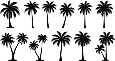 Flat vector illustration of various palm tree silhouettes, tropical nature icons, exotic beach trees, summer vacation, island landscape elements, tropical greenery decor
