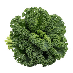 Fresh green curly kale vegetable isolated on transparent background