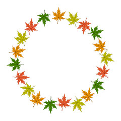 Autumn card maple leaves on white background. Simple autumn leaf for template, banner, sticker. Flat vector illustration