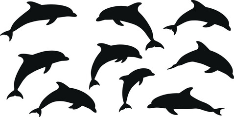 Set of dolphin silhouettes, jumping and swimming poses, marine life vector collection, isolated black icons for ocean, wildlife, sea designs © Maisa