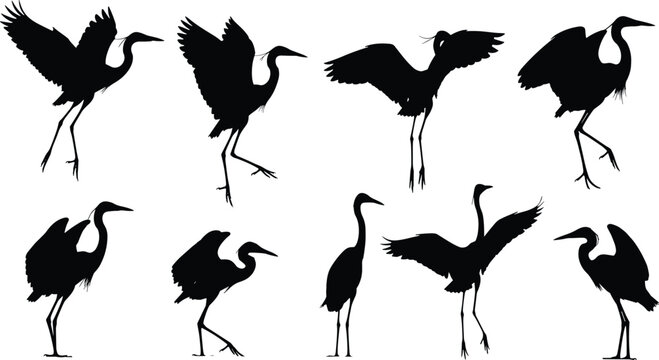 Silhouette collection of herons and cranes in flying and standing poses, black bird vector icons for wildlife, nature, wetland design