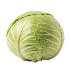 Obraz premium Fresh green cabbage head isolated on transparent background