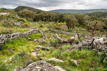 Hiking a walking route at Portalegre, Portugal. Percurso Pedestre de Galegos