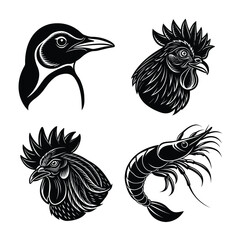 set of birds vector illustration