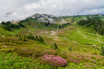 Fototapeta premium Mountain landscape with meadow. Valley landscape with cloudy sky. Scenic green hill mountain. Travel destination. Breathtaking summer in wild mountain with forest and green slopes