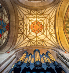 Fototapete bei efototapeten.de bestellen   