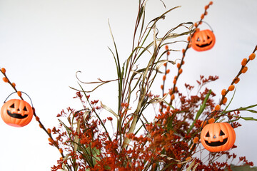Halloween autumn diy decoration with pumpkin and dried flowers and leafs over white background