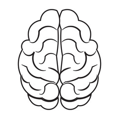 Human brain icon with editable stroke, Simple brain diagram illustration