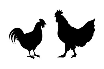 Fototapeta premium Silhouette of chicken and rooster animal, black contour farm hen. Household bird farm. Vector 