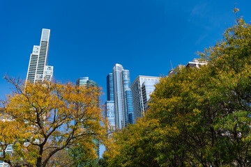 Obraz premium Central park autumn tree nature, New York. City park in autumn. Autumn landscape. Fall nature landscape. Autumn nature in city park. Seasonal fall landscape. New York cityscape and nature