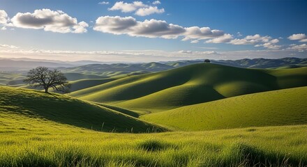 Obraz premium Rolling Green Hills and Blue Sky Background 