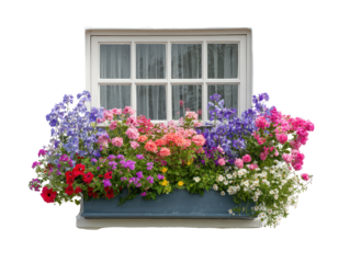A charming white window with a rustic blue window box filled with a vibrant multicolored floral arrangement.