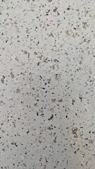 Close-up of a grey terrazzo texture with black, white, and beige stone chips.