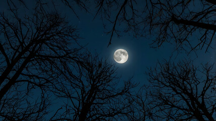 A deep blue night sky. The moon is bright and detailed, showcasing its craters and surface textures.