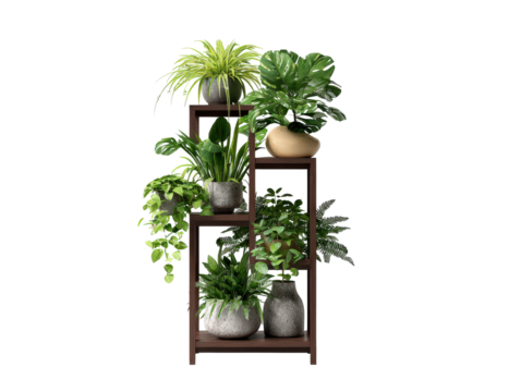 A decorative collection of assorted green houseplants in ceramic pots on a tall multi-level dark wood shelf.