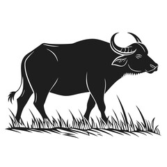 Water buffalo in field silhouette