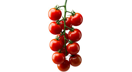 Ripe cherry tomatoes hanging on a vine against a black background