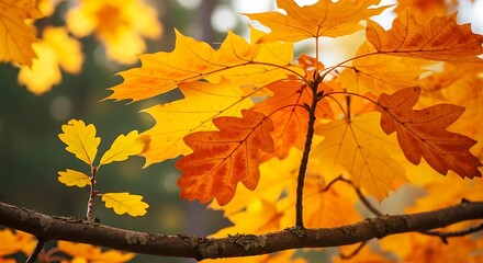 Serene Living Room with White Couch, Art Canvases, and Natural Light Accents