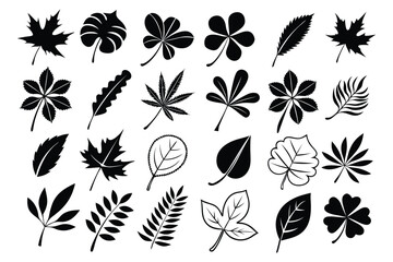 Leaf Silhouette Vector Collection Black Botanical Nature Set