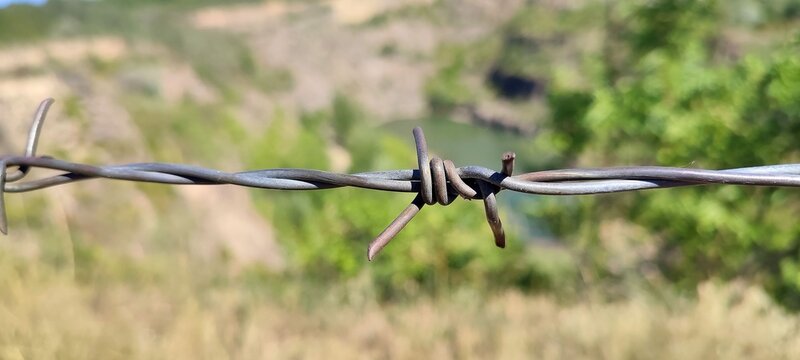 barbed wire fence