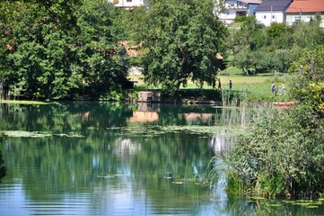 Fototapeta premium Calm water during summer at Mreznica river near Karlovac city.River in the deep forest. Mreznica river near Duga Resa. Croatia.