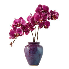 Deep purple orchid blossoms in a speckled, muted vase