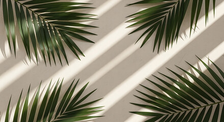 Obraz premium Four green palm leaves with diagonal light and shadow