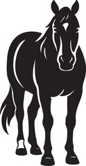 Black horse standing on white, Equine animal silhouette illustration