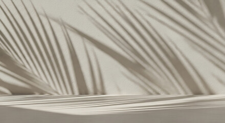 Shadow patterns of palm leaves on a textured wall leaf shadow