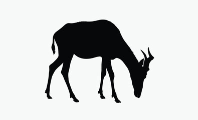Fototapeta premium Hartebeest silhouette, African antelope vector, wild savanna animal icon, black wildlife illustration, Red Hartebeest Solid Vector Silhouette 