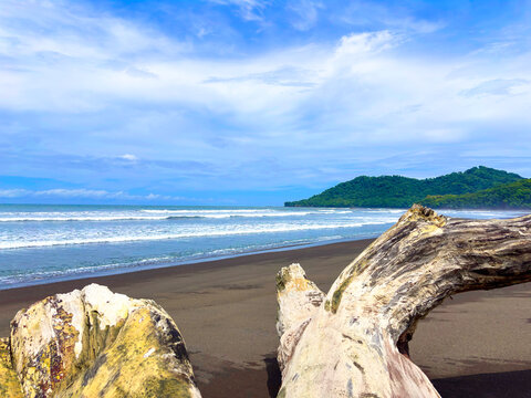 Camaronal Beach in Costa Rica with dark sand, blue ocean, and weathered driftwood in the foreground. A wild and natural landscape, perfect for conveying adventure, tranquility, and tropical beauty.
