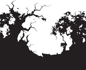 Gnarled branches against white background trees silhouette