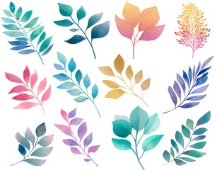 Watercolor Botanical Branches Clipart Bundle