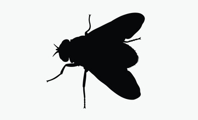 Fly silhouette, insect vector, winged bug icon, black pest illustration, Fly Icon Silhouette Vector Illustration On White Background. Fly vector icon on white background.