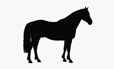 Horse silhouette, equestrian animal vector, domestic livestock icon, black farm creature illustration, Halter Quarter Horse silhouette 
