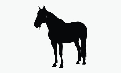 Horse silhouette, equestrian animal vector, domestic livestock icon, black farm creature illustration, Halter Quarter Horse silhouette 
