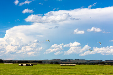 White and blue clouds above green field