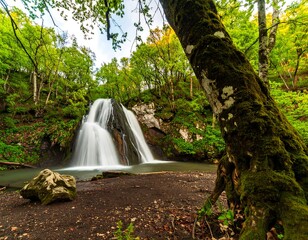 Obraz premium Waterfall cascading in lush forest