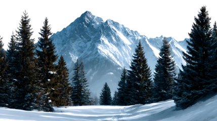 Majestic snow-covered mountains rise behind a dense forest of pine trees under a clear winter sky, inviting adventure. Isolated to Transparent Background