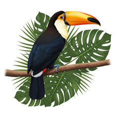 Green tropical palm leaves with natural texture botanical plant foliage