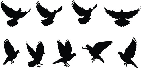 Bird silhouettes, flying and landing poses, wings spread, black on white, minimal vector set, avian motion, wildlife illustration