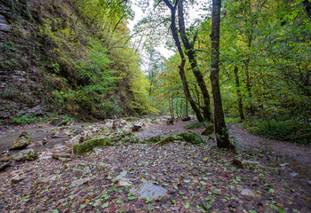 riverbed, a journey to the sources and unexplored places of wildlife