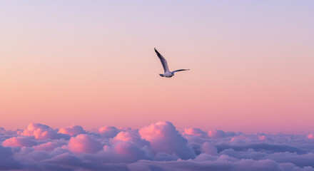 Obraz premium Lone seagull soars above cotton candy clouds at sunset symbolizing freedom and tranquility in pastel skies breathtaking scene